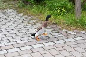 General information about your stay at Herzoghof