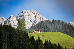 General information about your stay at Herzoghof