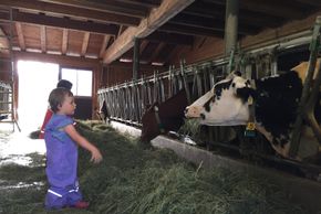 General information about your stay at Herzoghof