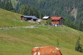 General information about your stay at Hohlriederalmhütte