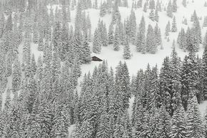 General information about your stay at Holzgauerhaus