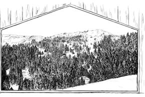 General information about your stay at Holzgauerhaus