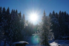 General information about your stay at Hotel Alpengasthof Schwand