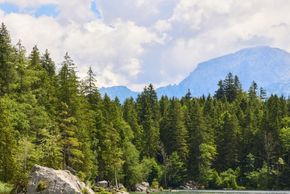 General information about your stay at Hotel Edelweiss