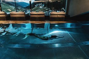 General information about your stay at ELIZABETH Arthotel