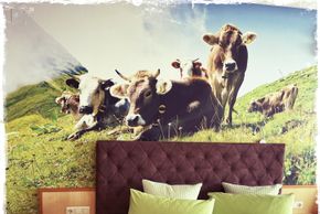 General information about your stay at Hotel Garni Alpendiamant