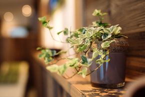 General information about your stay at Hotel Garni Dr. Köhle