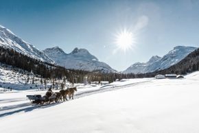 General information about your stay at Hotel Goldener Berg