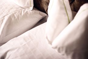 General information about your stay at Hotel Gotthard