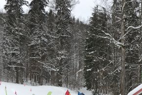 General information about your stay at Hotel DAS Hintersee