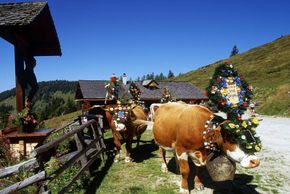 General information about your stay at Hotel Kristall