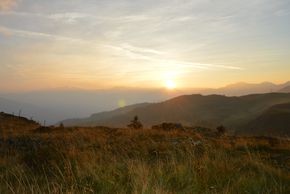 General information about your stay at Hotel Larchhof