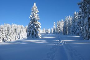 General information about your stay at Hotel-Pension Schwandenhof