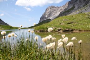 General information about your stay at Hotel-Restaurant Mohnenfluh