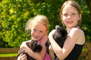 General information about your stay at Hotel-Restaurant-Cafe Alpina