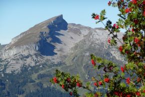 General information about your stay at Hotel Riezler Hof