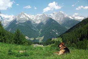 In summer panoramic view from 