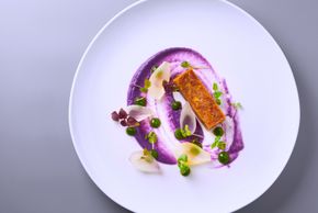 General information about your stay at Hotel Salnerhof Lifestyle Resort