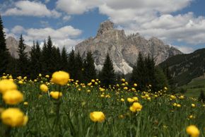 General information about your stay at Hotel Sassongher