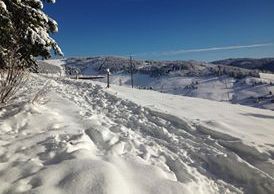 General information about your stay at Hotel Sonnenalm