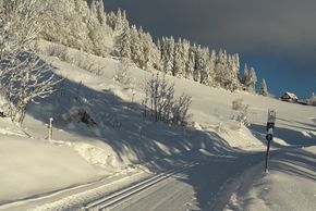 General information about your stay at Hotel Sonnenalm