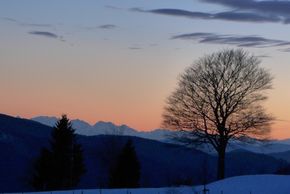 General information about your stay at Hotel Sonnenalm