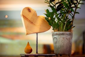 General information about your stay at Hotel Steiger****