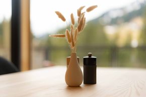 General information about your stay at Apartments HUGO & PEPI