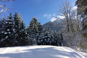 General information about your stay at Jugendgästehaus Schindlbach