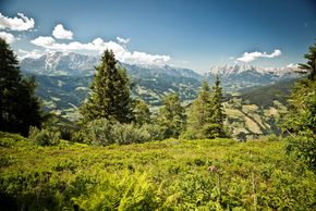 General information about your stay at Panorama Apart & Rooms Weitenmoos