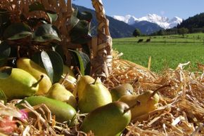 General information about your stay at Komfort-Familienbauernhof Zittrauerhof ****