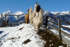 General information about your stay at Klausnerhof