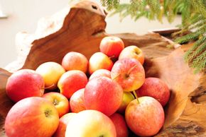 General information about your stay at Kneringerhof