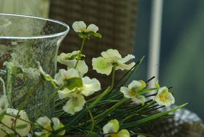 General information about your stay at Kneringerhof