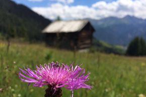 General information about your stay at Kneringerhof