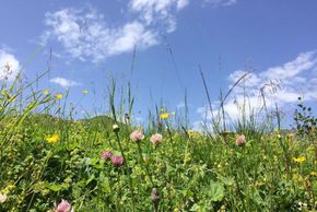 General information about your stay at Kneringerhof