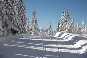 General information about your stay at Landhaus Vierthaler