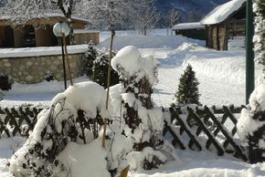 General information about your stay at Landhaus Bergidyll