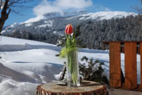 General information about your stay at Landhaus Bromm