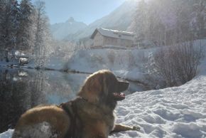 General information about your stay at Landhaus Dietersberg