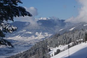 General information about your stay at Landhaus Kurzenhof