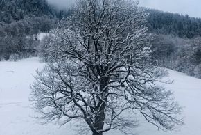 General information about your stay at Landhaus Lackner