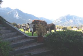 General information about your stay at Landhaus Müller