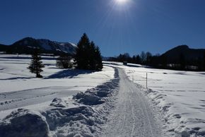 General information about your stay at Landhaus Schmid