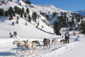 Dog sled race in Lü