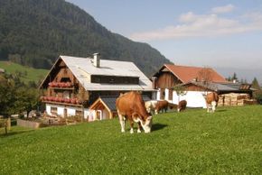 General information about your stay at Mandlhof