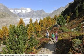 General information about your stay at Chalet Mistelhof (2 Wohnungen) WiFi