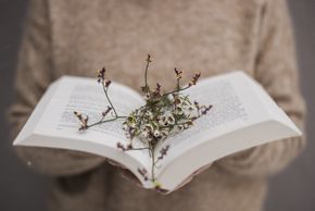 General information about your stay at Hotel Silena, your soulful hotel