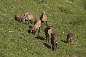 General information about your stay at Mühl-Fun-Viertel Grenzlandcamp Klaffer