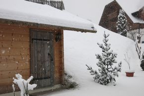 General information about your stay at Müllnerhof